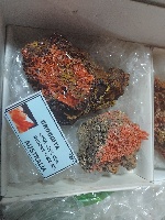 Mineral 9 - MineralExpo 2026